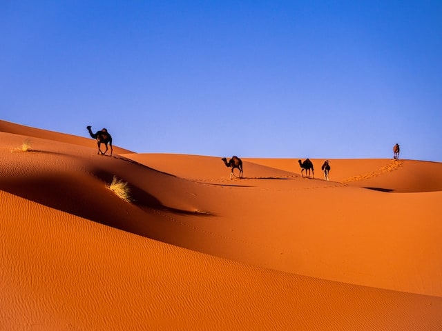 merzouga dessert tours 2 by morocco circuit tours