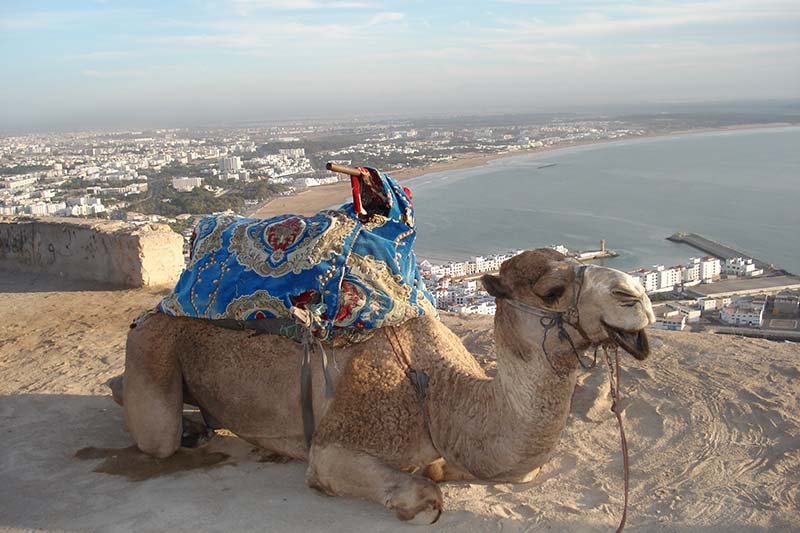 morocco circuit tours agadir tours