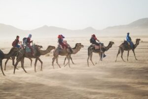 Family Tours desert